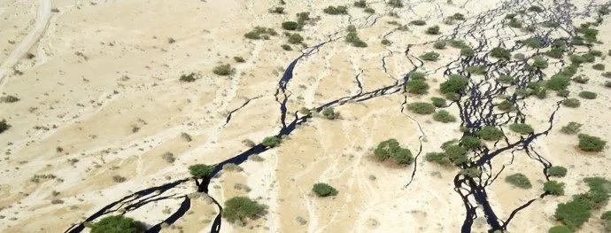 זיהום נפט בעברונה. צילום: רועי טלבי
