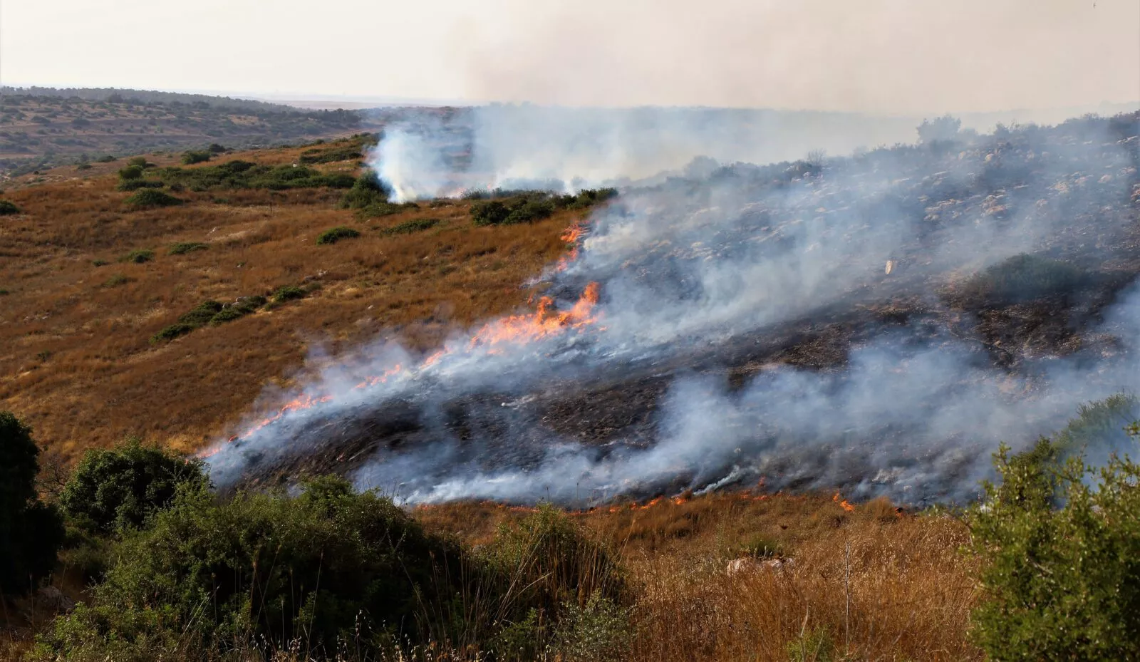 שריפה. צילום: יוסי הראל