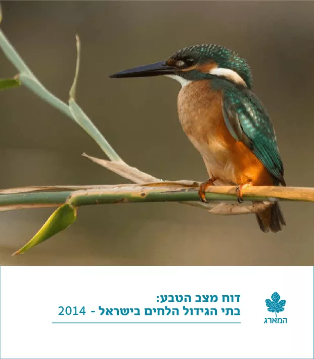 דוח מצב הטבע בתי הגידול הלחים בישראל 2014- תמונת שער