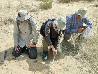 ניטור גיאוכימי בנחל אשלים. צילום: רייל הורביץ