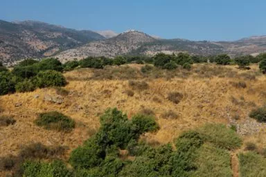 צילום: ערן מנשרי