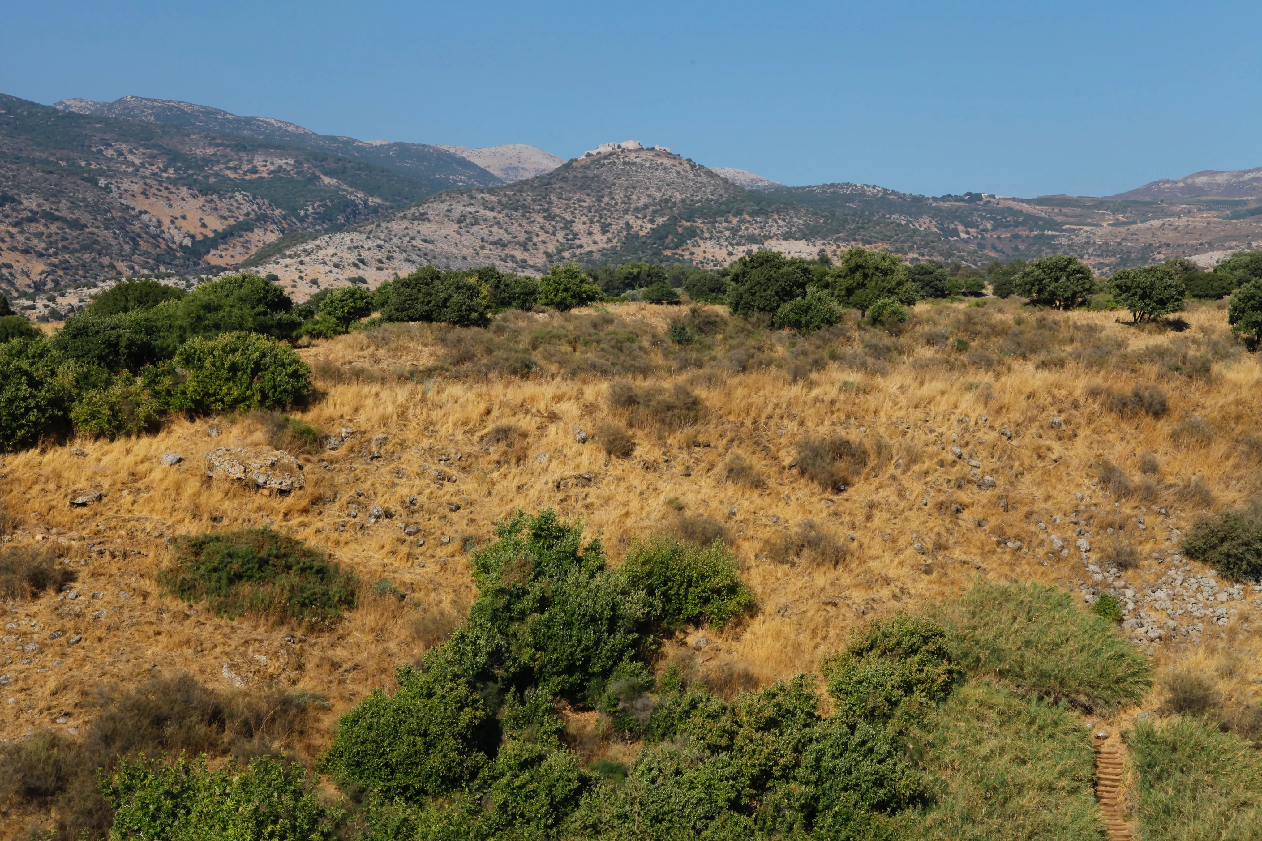 צילום: ערן מנשרי צילום: ערן מנשרי
