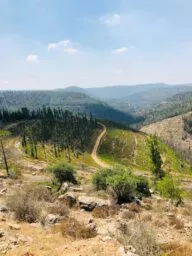 צילום: אמיר חסין