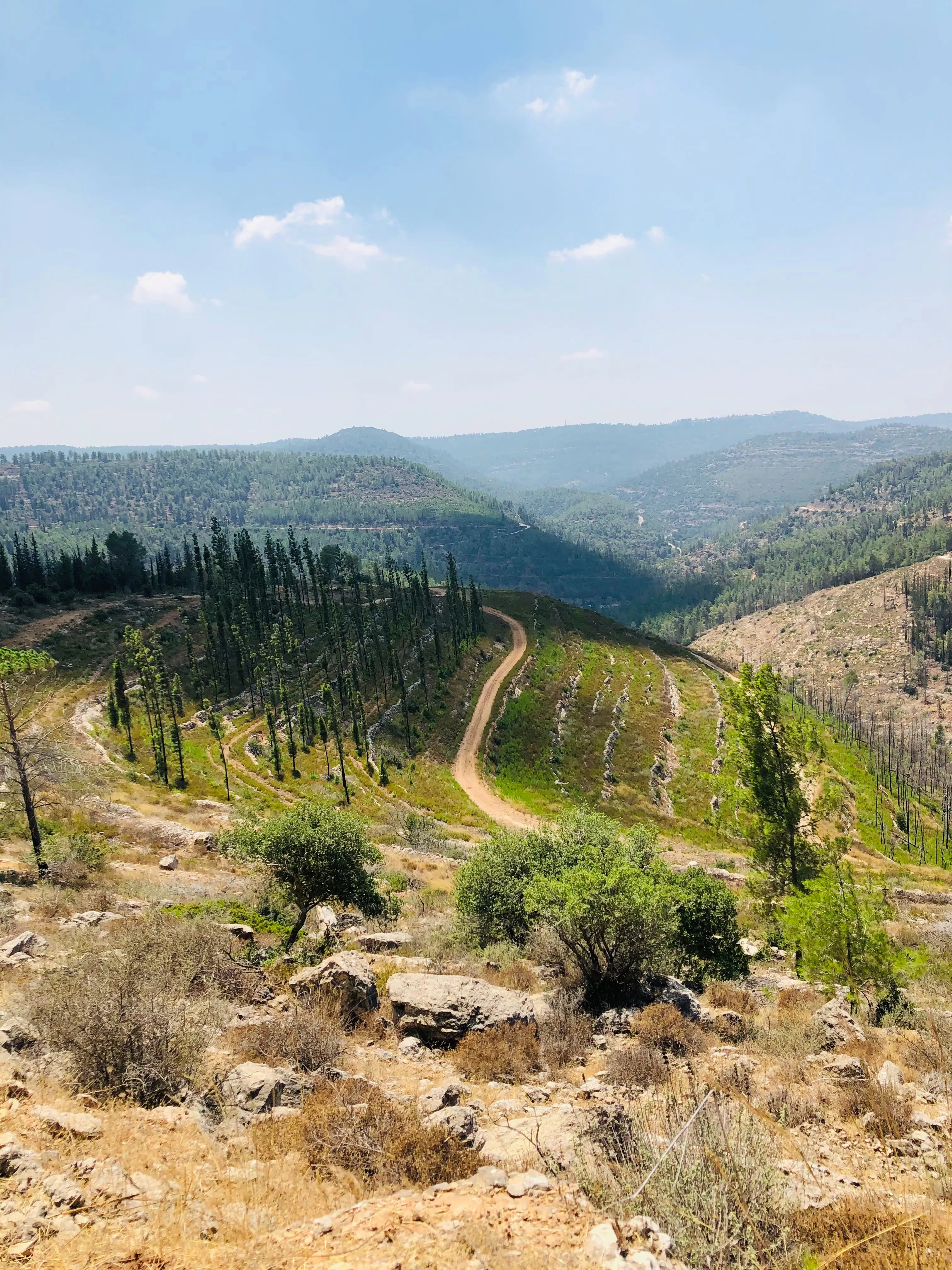 צילום: אמיר חסין