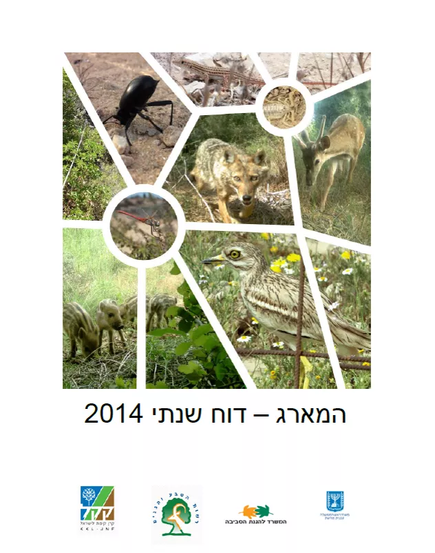 דוח שנתי2014