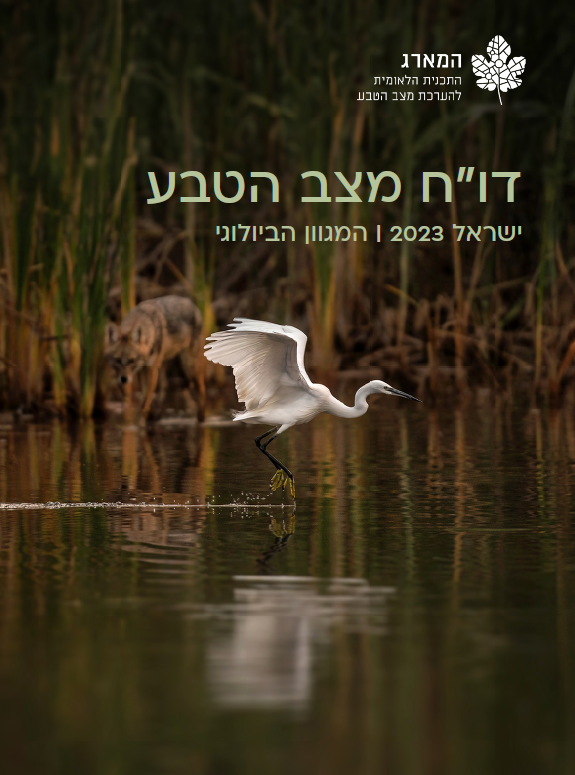 צילום: ניר אביגד דו"ח מצב הטבע 2023