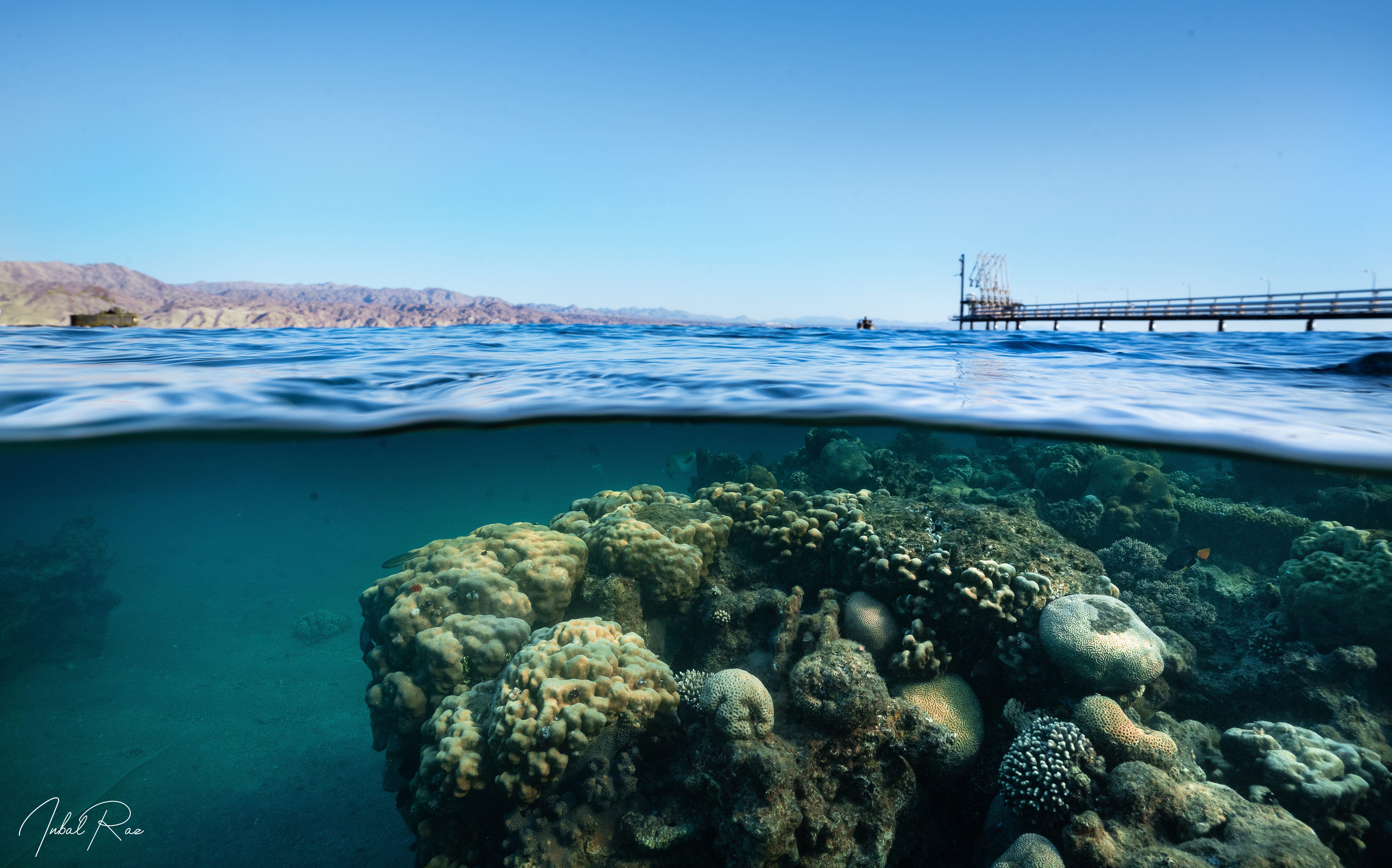 ים סוף. צילום: ענבל רז