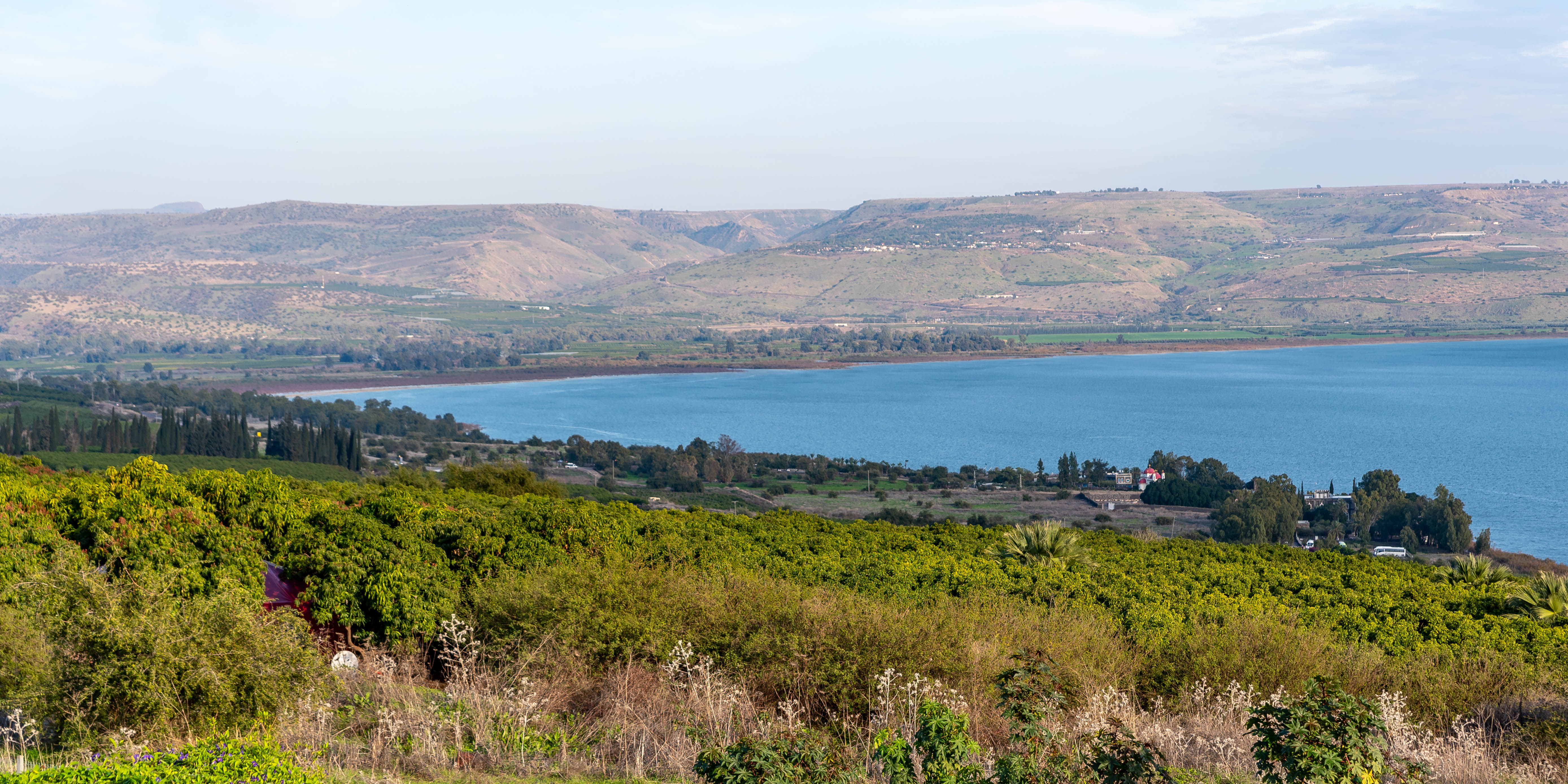 הכינרת. צילום: ברברה גבאי