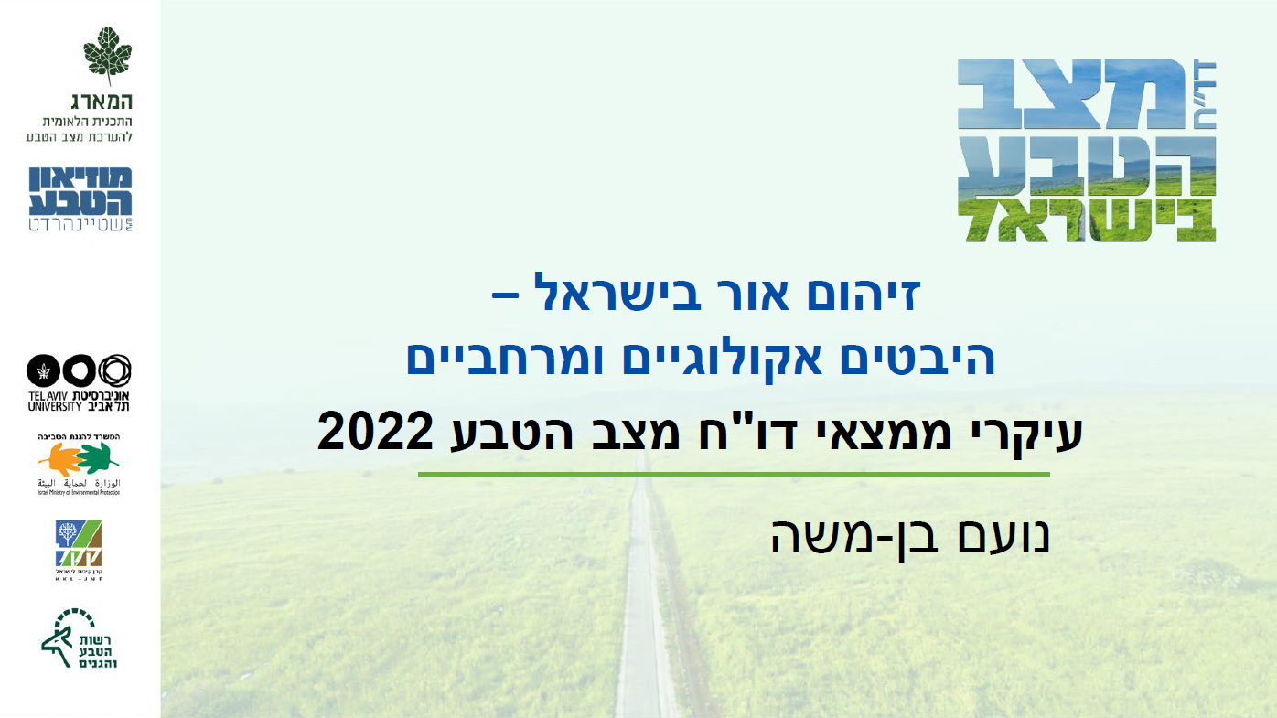 המארג