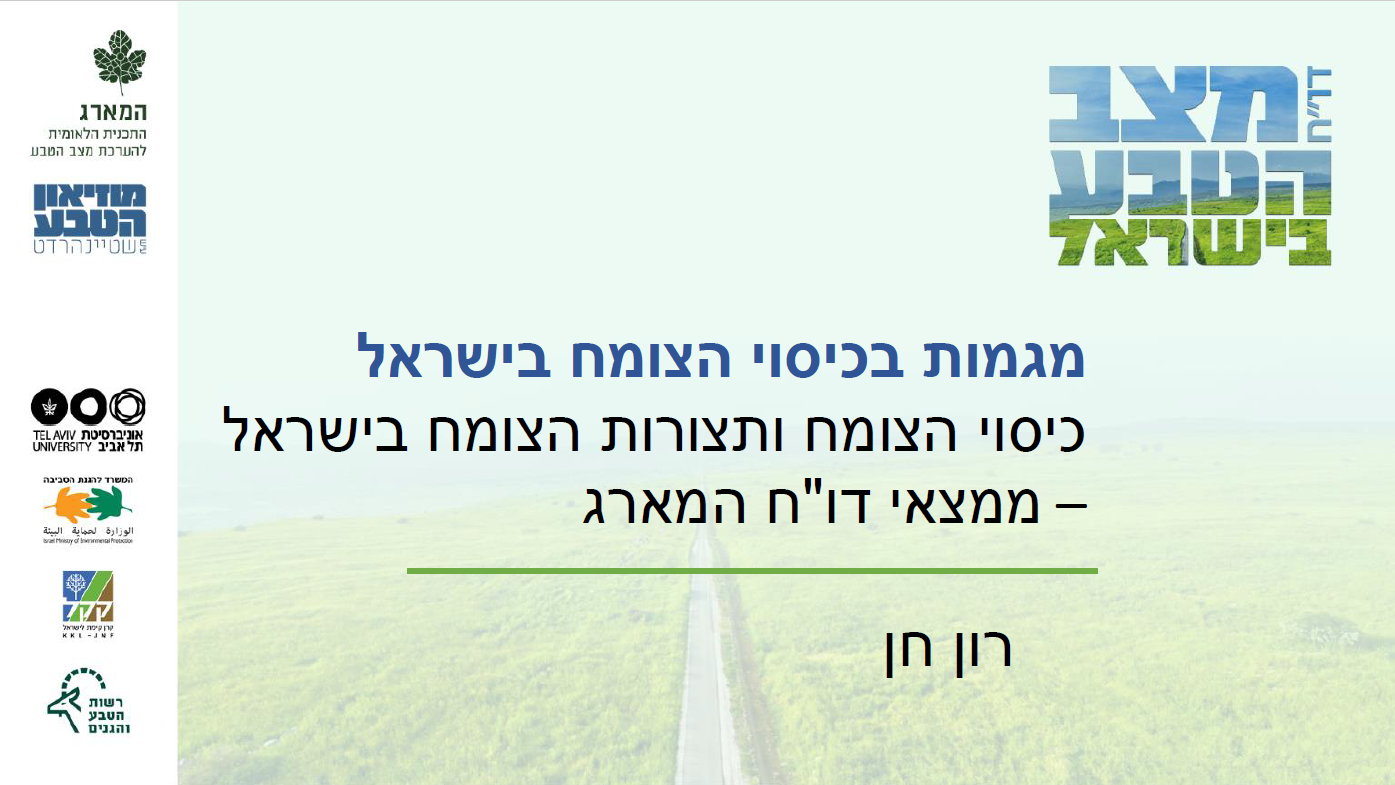 המארג